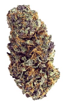 Forbidden Fruit